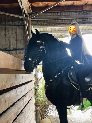 Мария, 28 лет: кунилингус в Волгограде, закажите онлайн